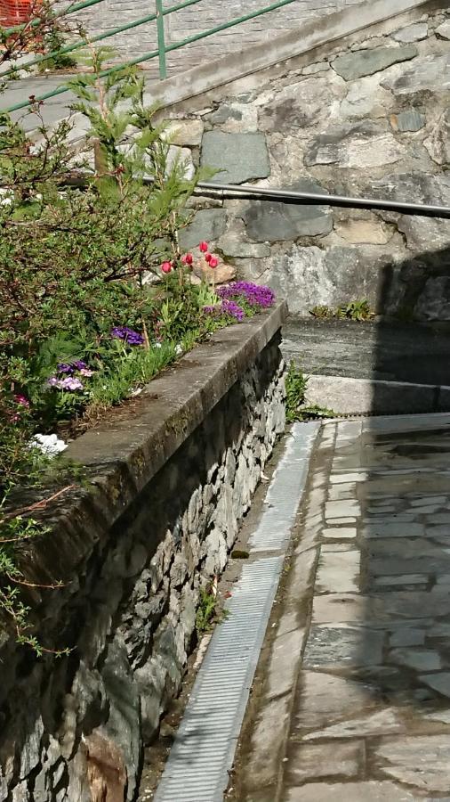 B&B Maison Odille Valtournenche Zewnętrze zdjęcie