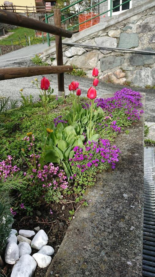 B&B Maison Odille Valtournenche Zewnętrze zdjęcie