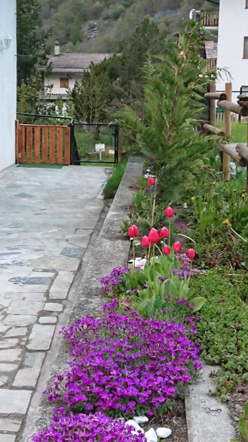 B&B Maison Odille Valtournenche Zewnętrze zdjęcie