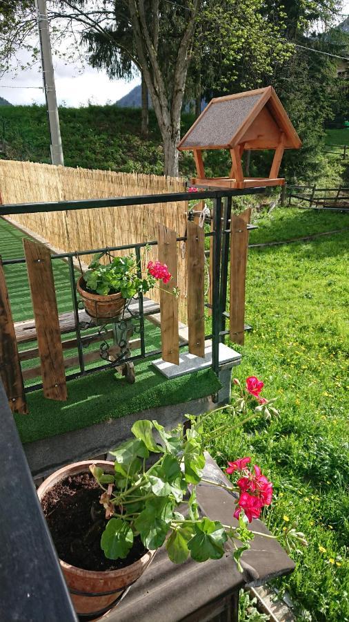 B&B Maison Odille Valtournenche Zewnętrze zdjęcie