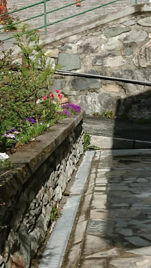 B&B Maison Odille Valtournenche Zewnętrze zdjęcie