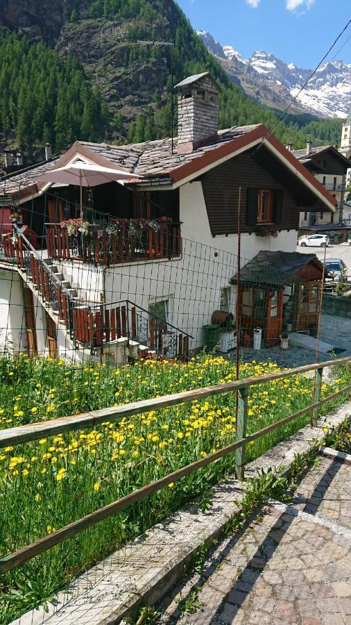 B&B Maison Odille Valtournenche Zewnętrze zdjęcie